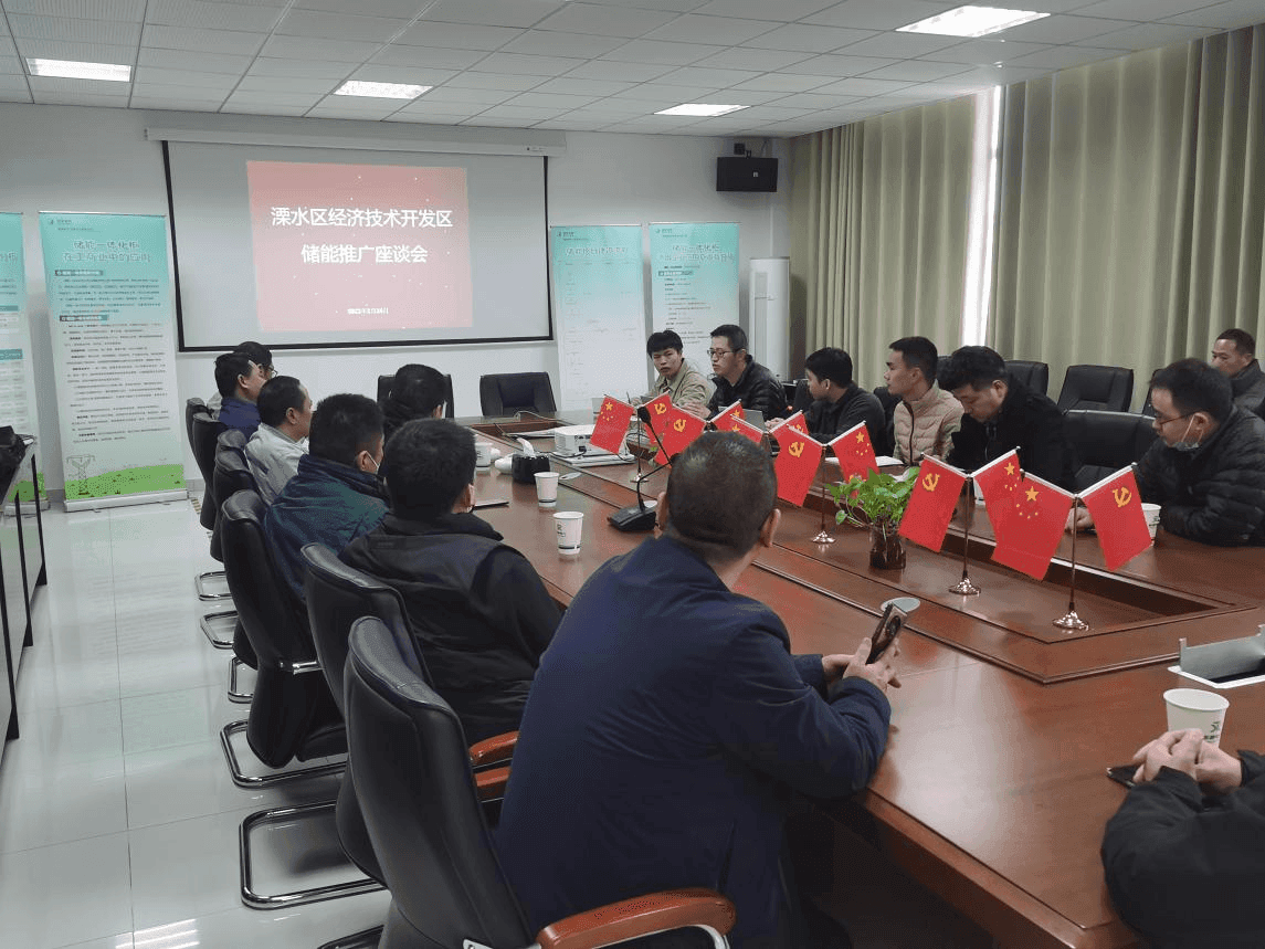 Symposium zur Förderung der Energiespeicherung in der Wirtschaftsentwicklungszone Lishui_nanjing Zhengrui